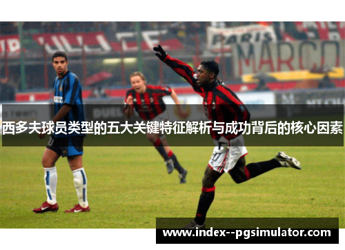 西多夫球员类型的五大关键特征解析与成功背后的核心因素