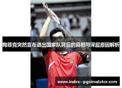 陶菲克突然宣布退出国家队背后的真相与深层原因解析